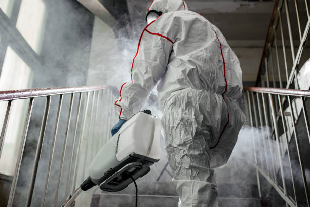 Best Air Quality Testing for Mold Spores  in Bradford, PA